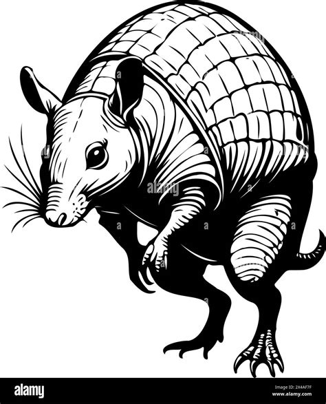 Realistic Armadillo jumps drawing, realistic hand drawing line art ...