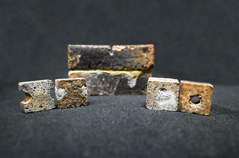 IISc team's bacteria-based method may help repair cracked bricks on Moon