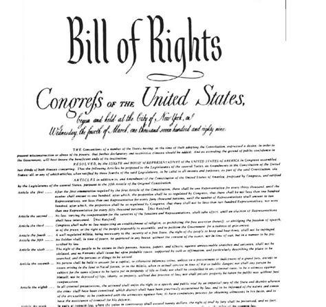 Image result for 2nd Amendment Origin