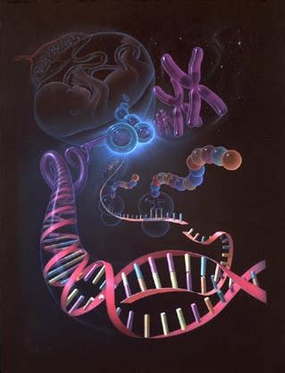 Genome Explained 的图像结果