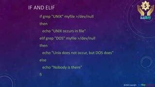 Image result for Shell Script Elif Example