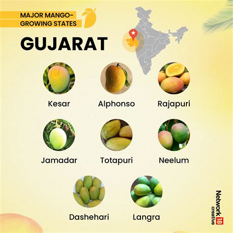 From Alphonso To Gulabkhas, Varieties Of Mangoes Are Grown Across ...