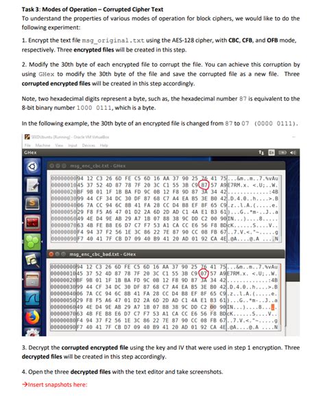 Image result for Secret Key Encryption Seed Task 7 Lab 4