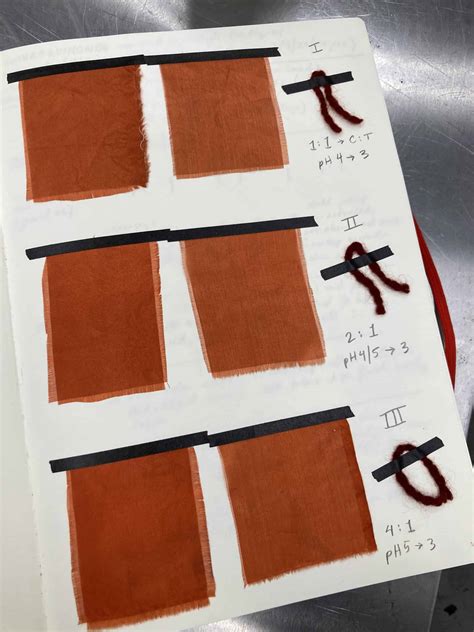 Mastering Mordants - Sanborn Mills Farm