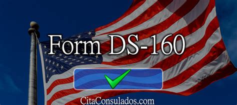 Image result for DS-160 Form Printable Version