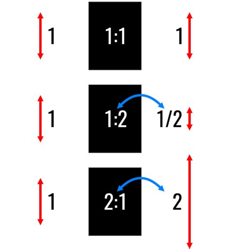 Image result for Magnification Amount Examples
