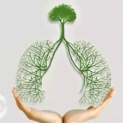 肺功能检查怎么做？
