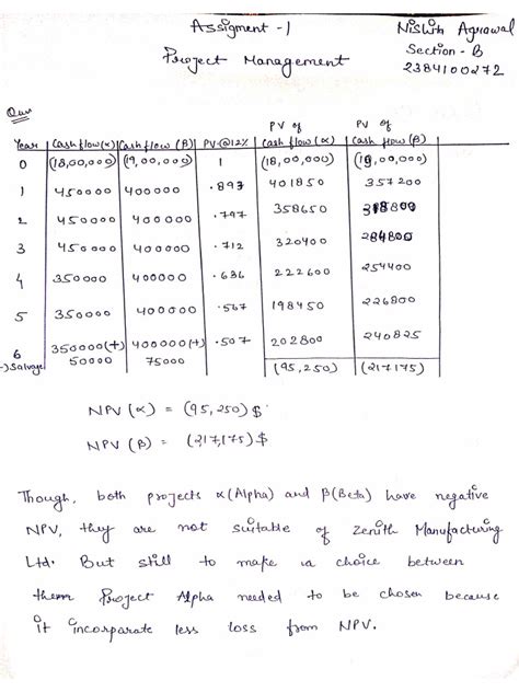 Project Management Assignment 的图像结果