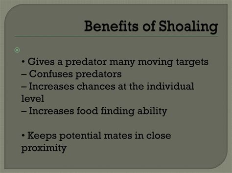 Fish Swim Behavior 的图像结果