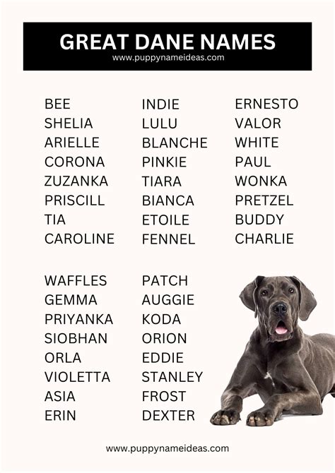 415+ Great Dane Names (With Meanings)