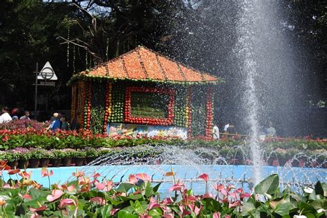 2024 (Bengaluru) Cubbon Park Heritage Walk: A self-guided tour of ...