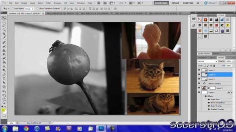 Image result for Photoshop CS5 Tutorials Free