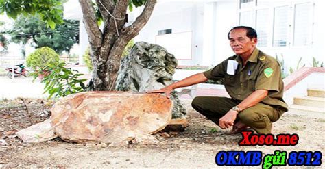 AMBIL SEKARANG