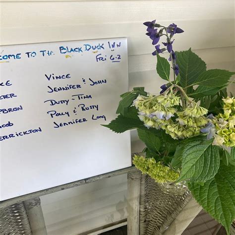 THE BLACK DUCK INN AND DOCKSIDE CAFE - Inn Reviews & Photos (Rock Hall ...