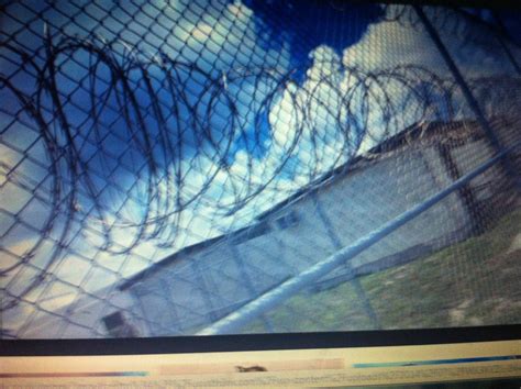 THE BLACK SOCIAL HISTORY:: BLACK SOCIAL HISTORY - AFRICAN AMERICAN ...