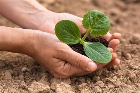 Why banks need to evolve their approach to climate and ESG risk | SAS India