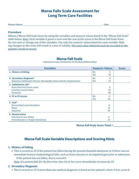 Morse Falls Scale Assessment for Long Term Care Facilities