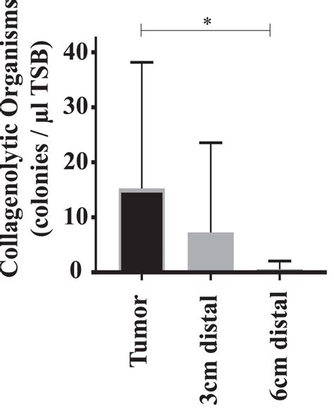 Image result for Enterococcus Faecalis Colon Cancer