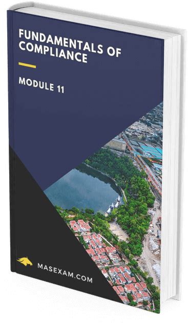 Image result for Module 11 Access Sam Exam