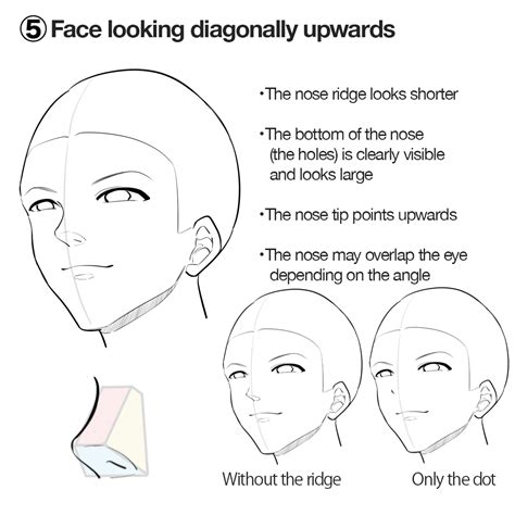 How To Draw Anime Noses