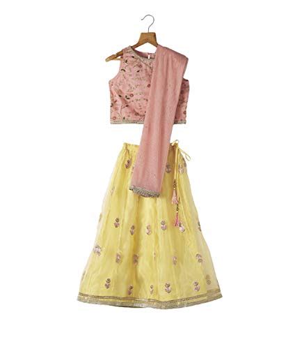Buy Srishti by FBB Embroidered Lehenga, Choli & Dupatta Set at Amazon.in