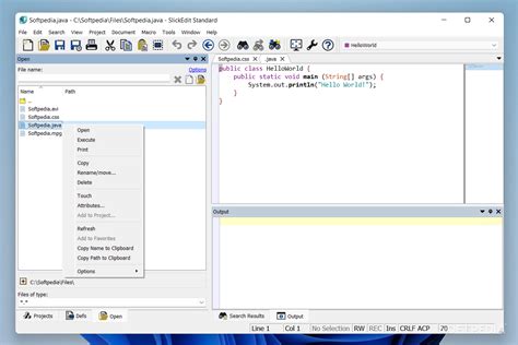 Image result for SlickEdit