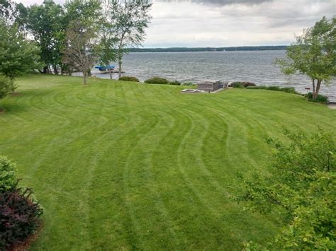 Dormant Grass Seeding - Landmark Landscapes, Inc