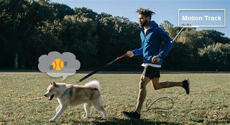 Video Tracking 的图像结果