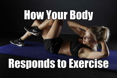 Image result for Understanding Exercise