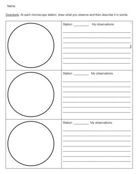 Image result for Worm Microscope Observations Worksheet
