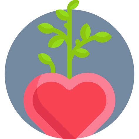 Caring for Air Plants 的图像结果