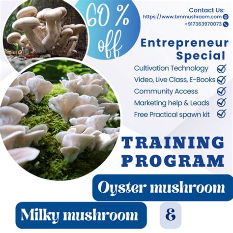 Combo Course Oyster & Milky Mushroom Cultivation Training Program | BM ...