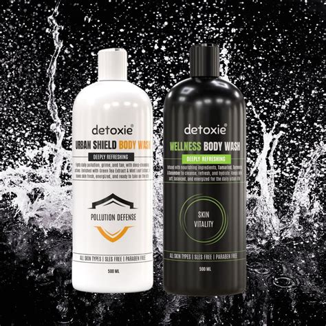 Pack of 2 Body Wash with Loofah - Urban Shield & Wellness - 500 ml Eac