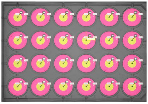 Short-Term Effects of Human versus Bovine Sialylated Milk ...