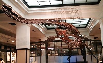 Image result for Images for Loop Structure in Java