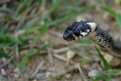 Image result for Operaciones Con Matrices Numpy Python