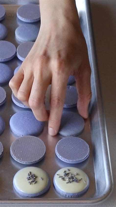 20 Macarons ideas in 2024 | macaroon recipes, macaron recipe, macarons