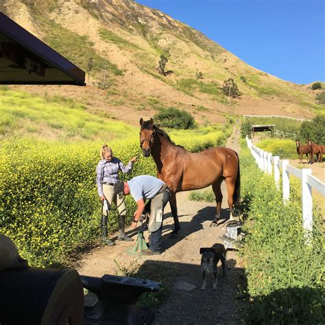 About Us - Four Oaks Farm Products