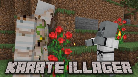 Image result for Karate Mod Minecraft