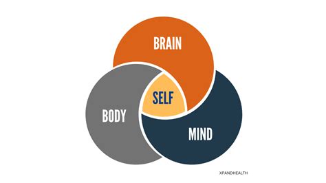 Image result for Mind and Brain Connection