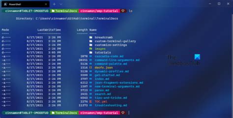 Image result for Windows Terminal Customization