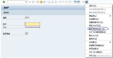 Open SAP through Python 的图像结果