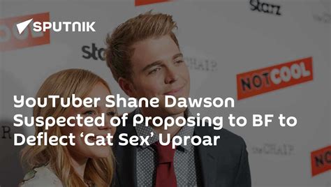 YouTuber Shane Dawson Suspected of Proposing to BF to Deflect 'Cat Sex ...