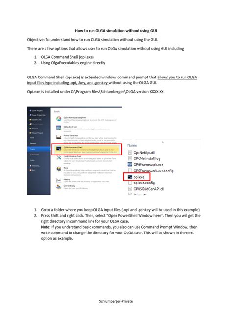Image result for Olga Tutorial