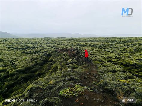 Image result for Redmi Note 13 Camera Sample