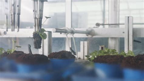 Image result for Automatic Planting Machine