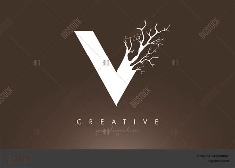 Letter V Design Logo Vector & Photo (Free Trial) | Bigstock