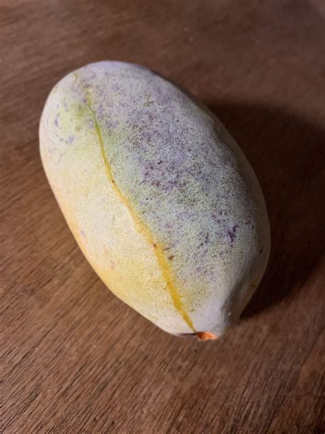 “Expiration Dates and Car Paintwork: The Art Bound by Time” | by ...