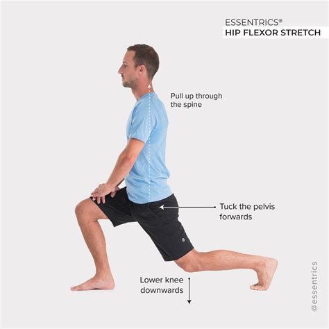 Rehabilitation Exercises For Hip Flexor Strain at Lucile Hart blog