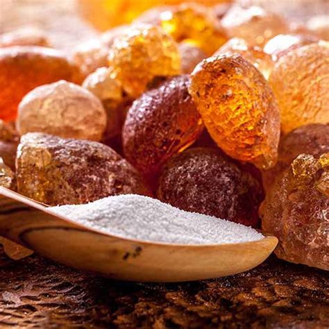 Organic Gum Arabic (Acacia seyal) - Nagaad Gums